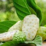 Cobra 130 hapı faydaları ve zararları