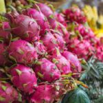 Vega 4 lü hap fiyatları ne kadar