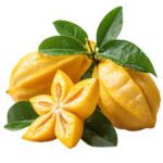 Vega hap kullanıcı yorumları ekşi sözlük