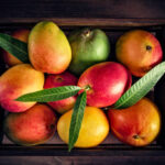 Vega 4 lü kampanya fiyatı