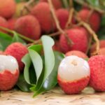 Vega sertleştirici hapı nasıl kullanılır