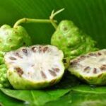 Cobra 130 mg kırmızı fiyat 2026